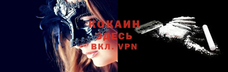 наркота  Болхов  COCAIN VHQ 